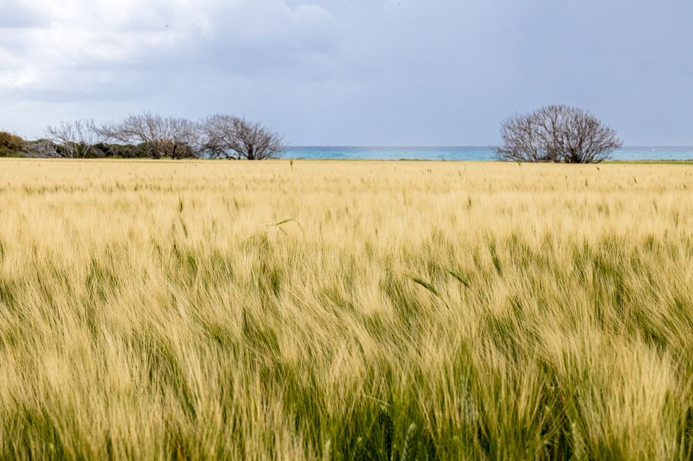 Photograph by Калинин Игорь