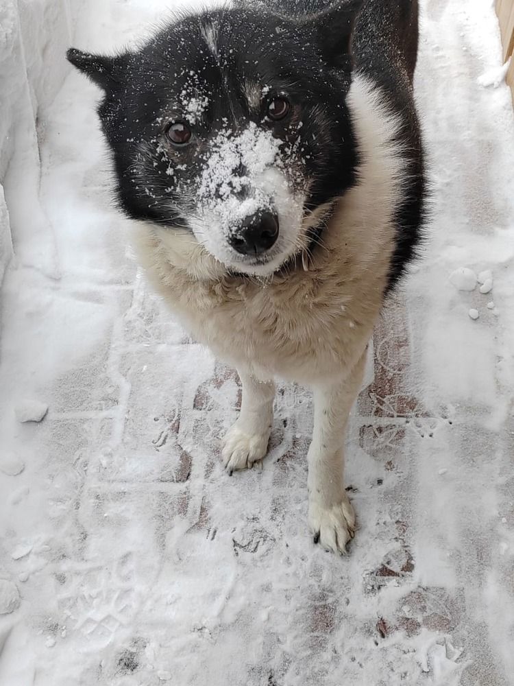 Photograph by Юлия