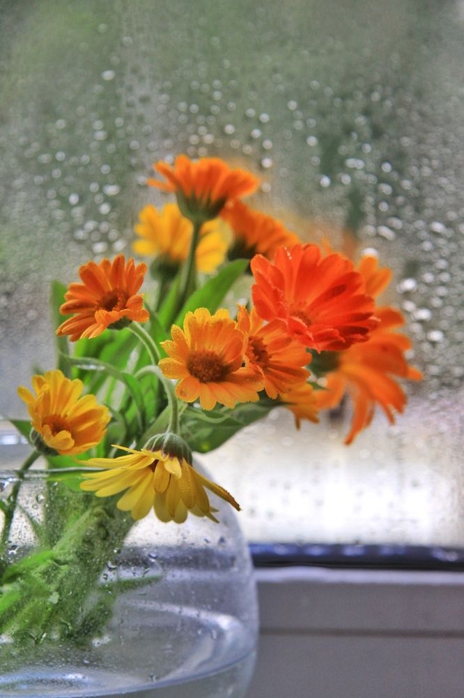 Photograph by Жанна Цветкова