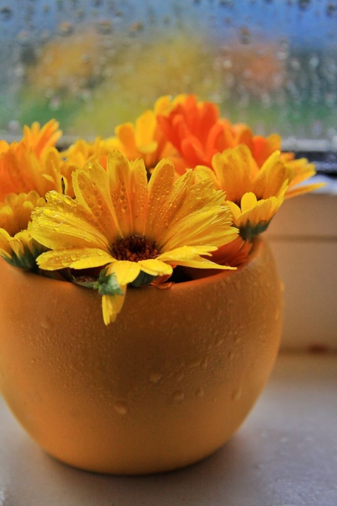 Photograph by Жанна Цветкова