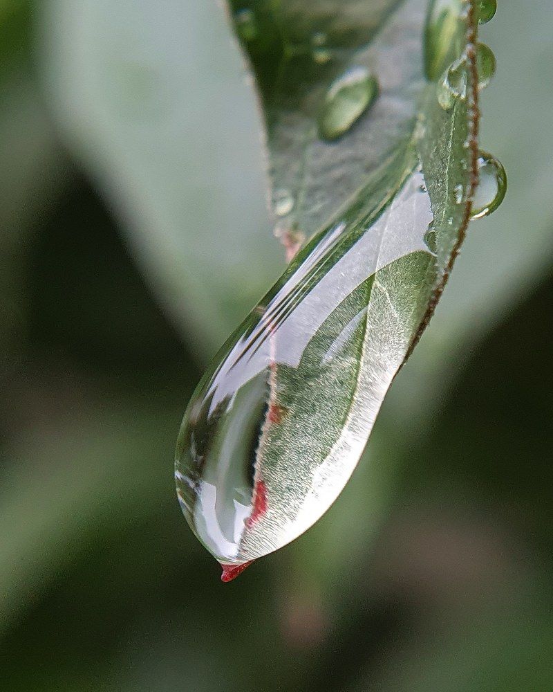 Photograph by Татьяна Мельникова