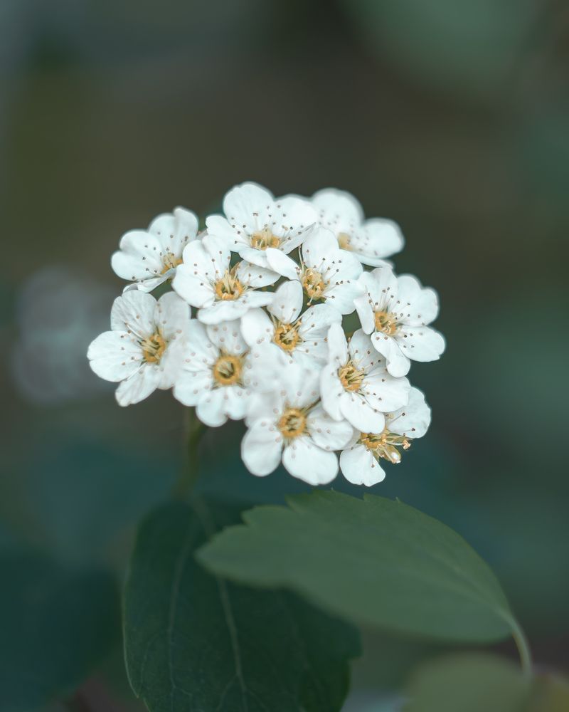 Photograph by Tatiana Grinko