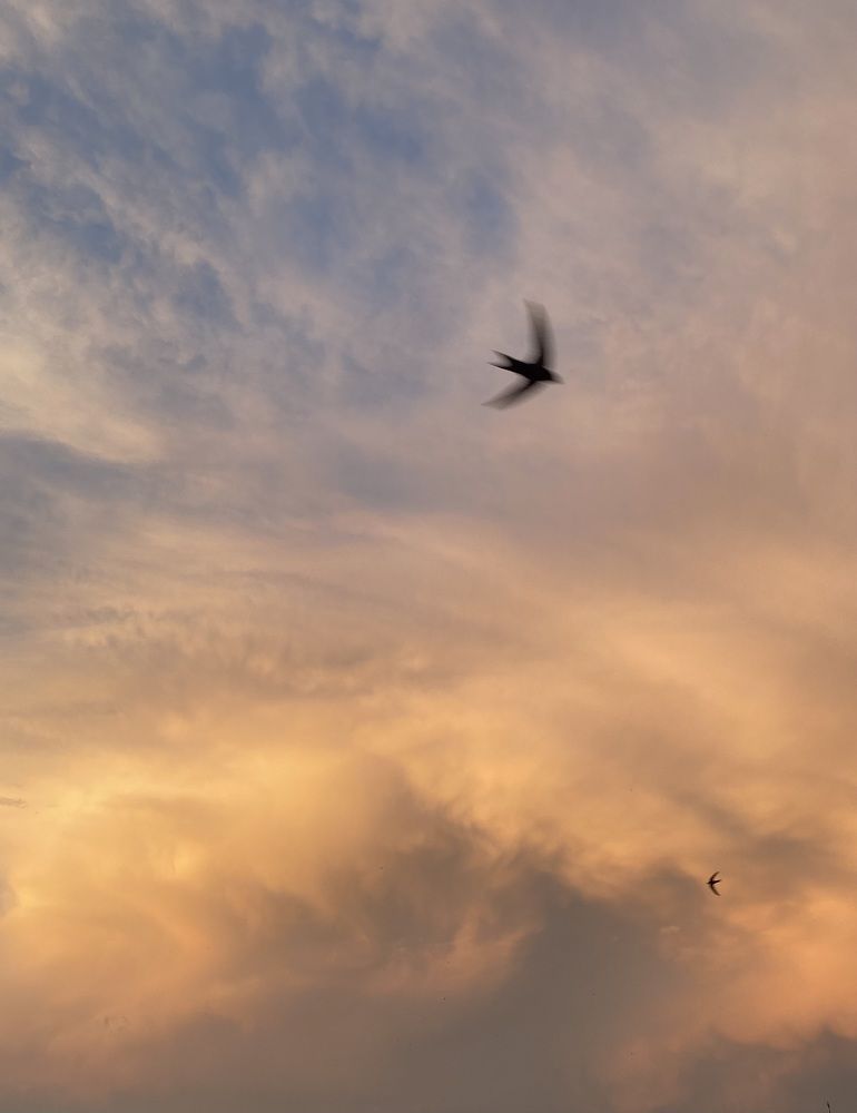 Photograph by Кристина Луканова