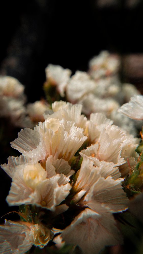 Photograph by Анастасия Селява