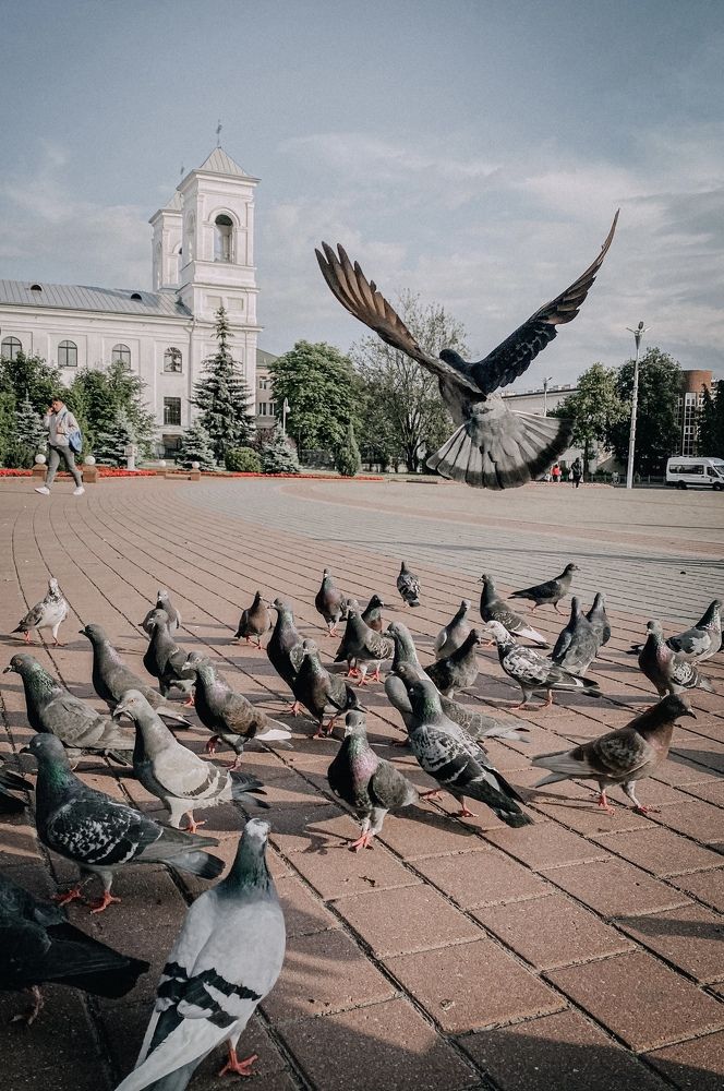 Photograph by Кристина Луканова