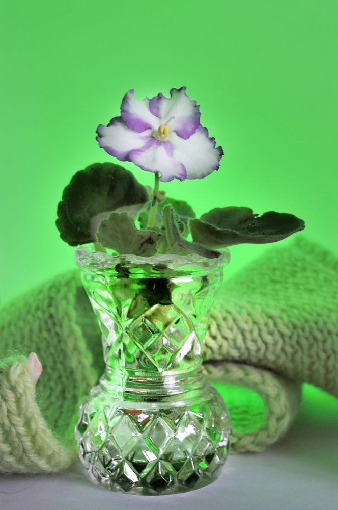 Photograph by Vyacheslav Ushakov