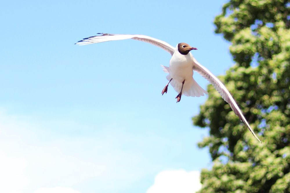 Photograph by Вячеслав Савицкий