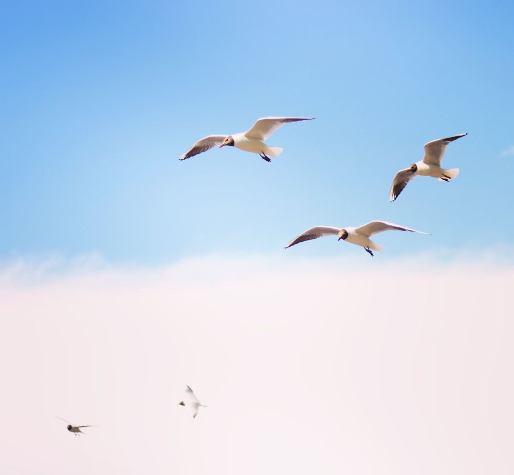 Photograph by Вячеслав Савицкий