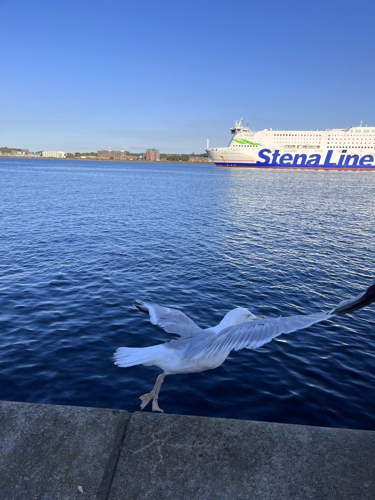 Фотография автора Ramin Ismayilov