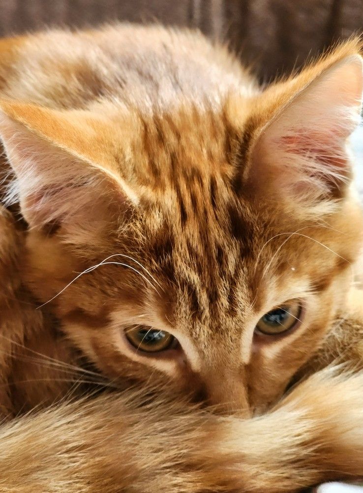 Photograph by Надежда Кудрявцева