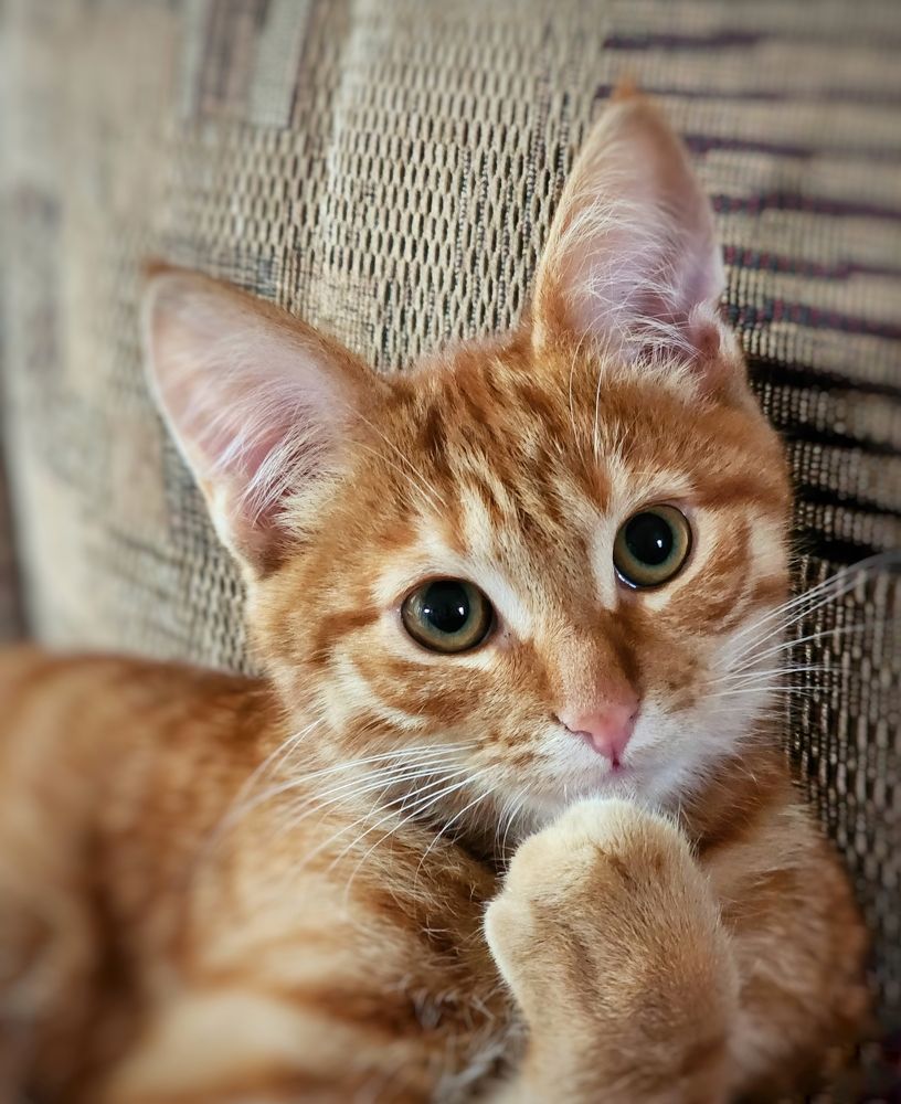 Photograph by Надежда Кудрявцева