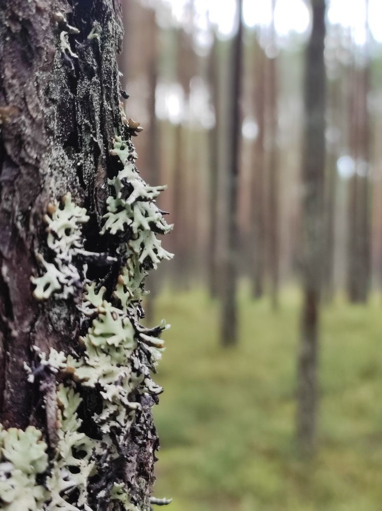 Photograph by Полина Белокопытова