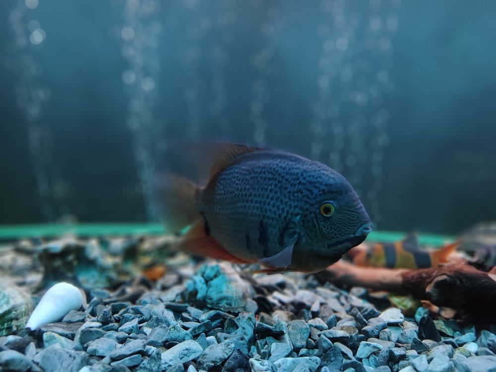 Photograph by Гюзель Даугуль