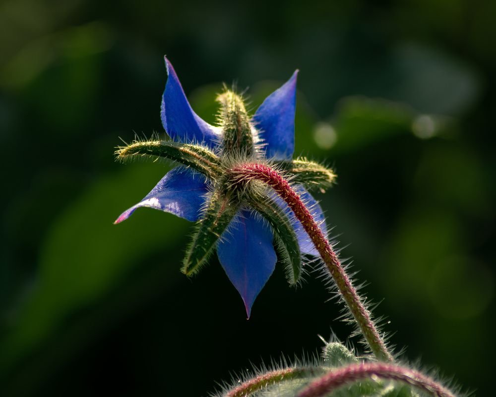 Photograph by Vitalii Kaznin