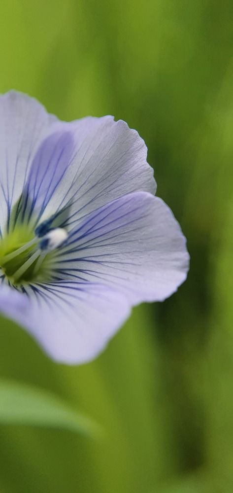 Photograph by Татьяна Мельникова