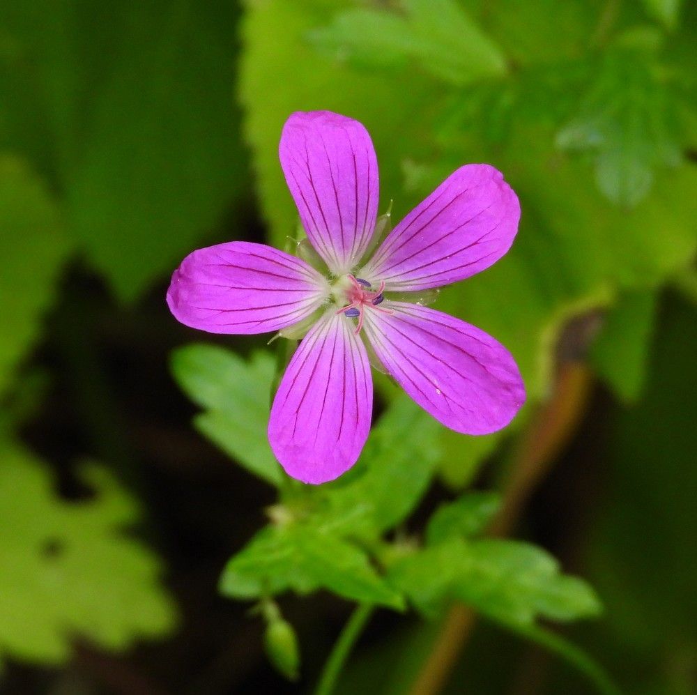 Photograph by Владимир Джерихов
