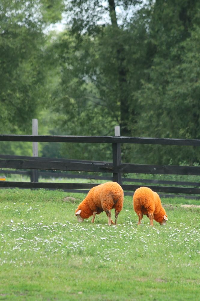 Photograph by Андрей Хитрун