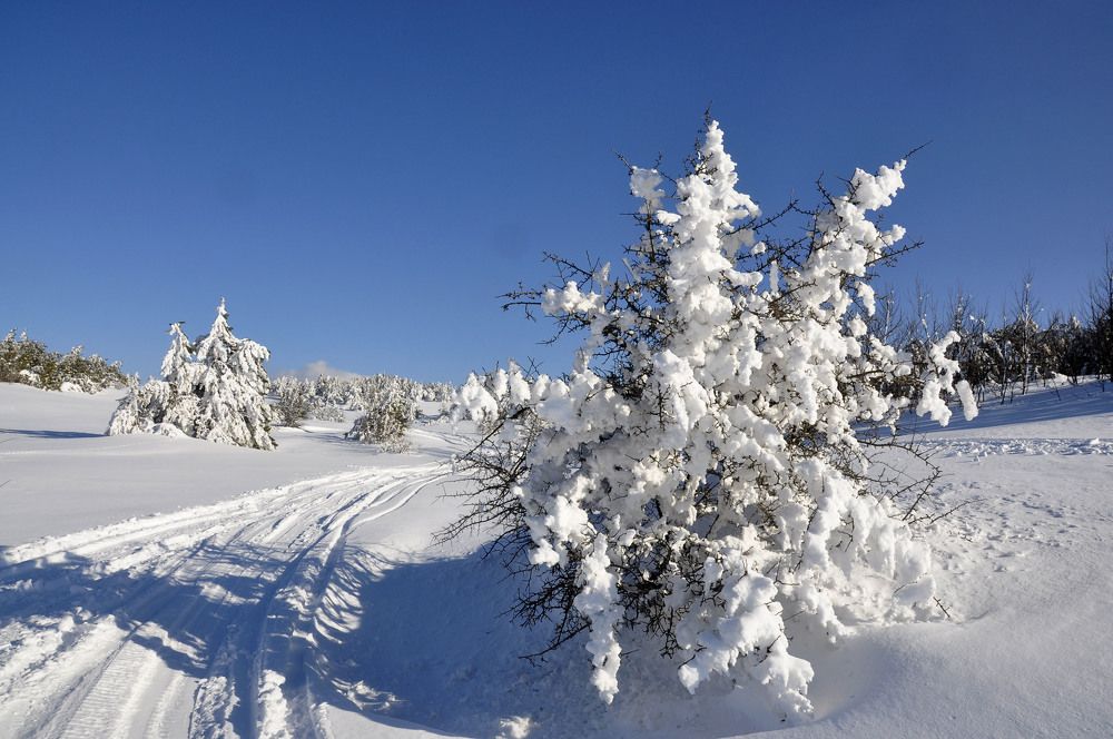 Photograph by Евгений Самулев