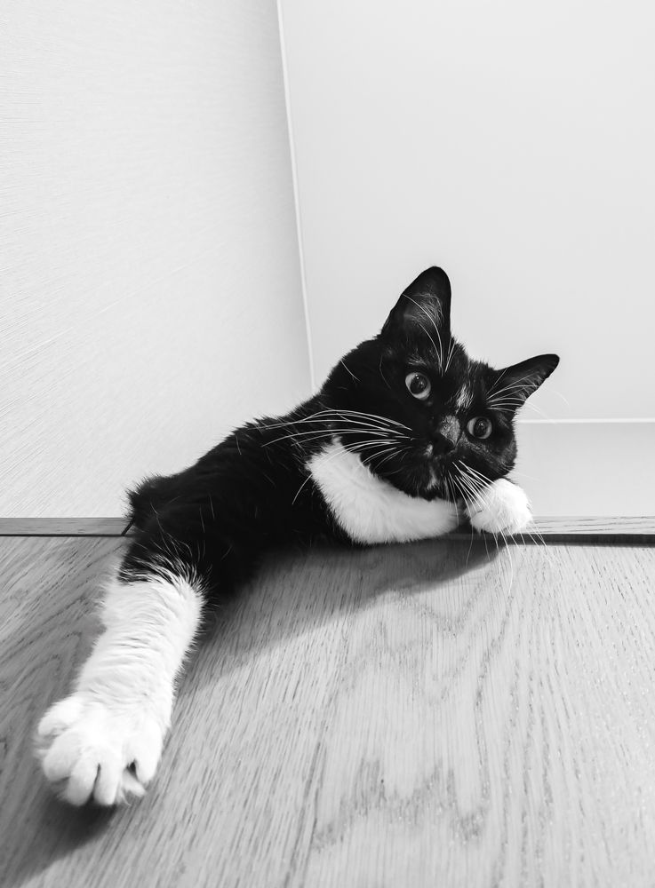 Photograph by Людмила Сарыцина