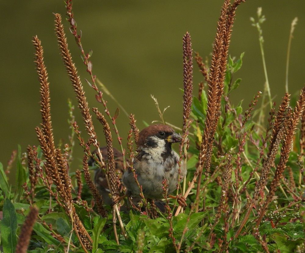 Photograph by Владимир Джерихов