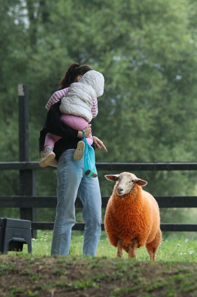 Photograph by Андрей Хитрун