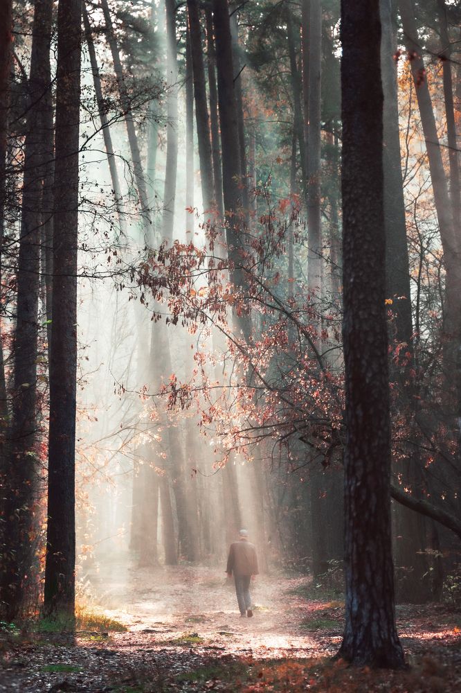 Photograph by Белевитин Михаил