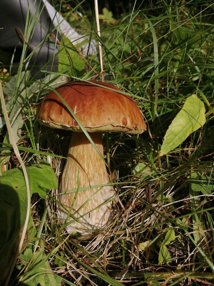 Осенний пейзаж