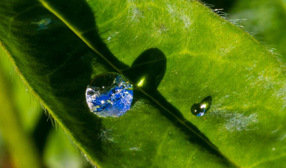 Photograph by Михаил Бояркин