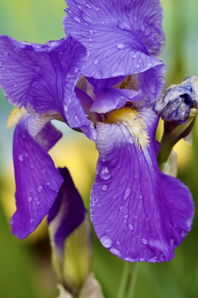 Photograph by Елена Ковалева