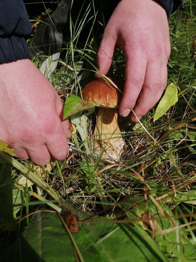 Сухая охота