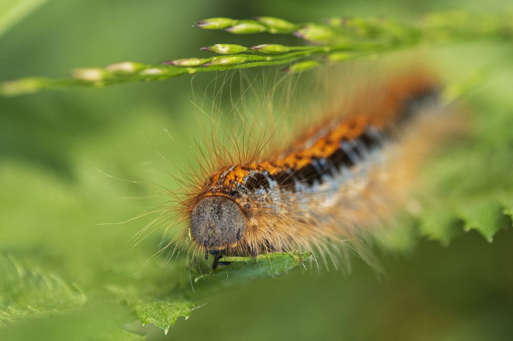 Photograph by Надежда Михайлина
