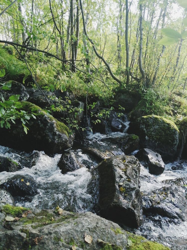 Водопады севера