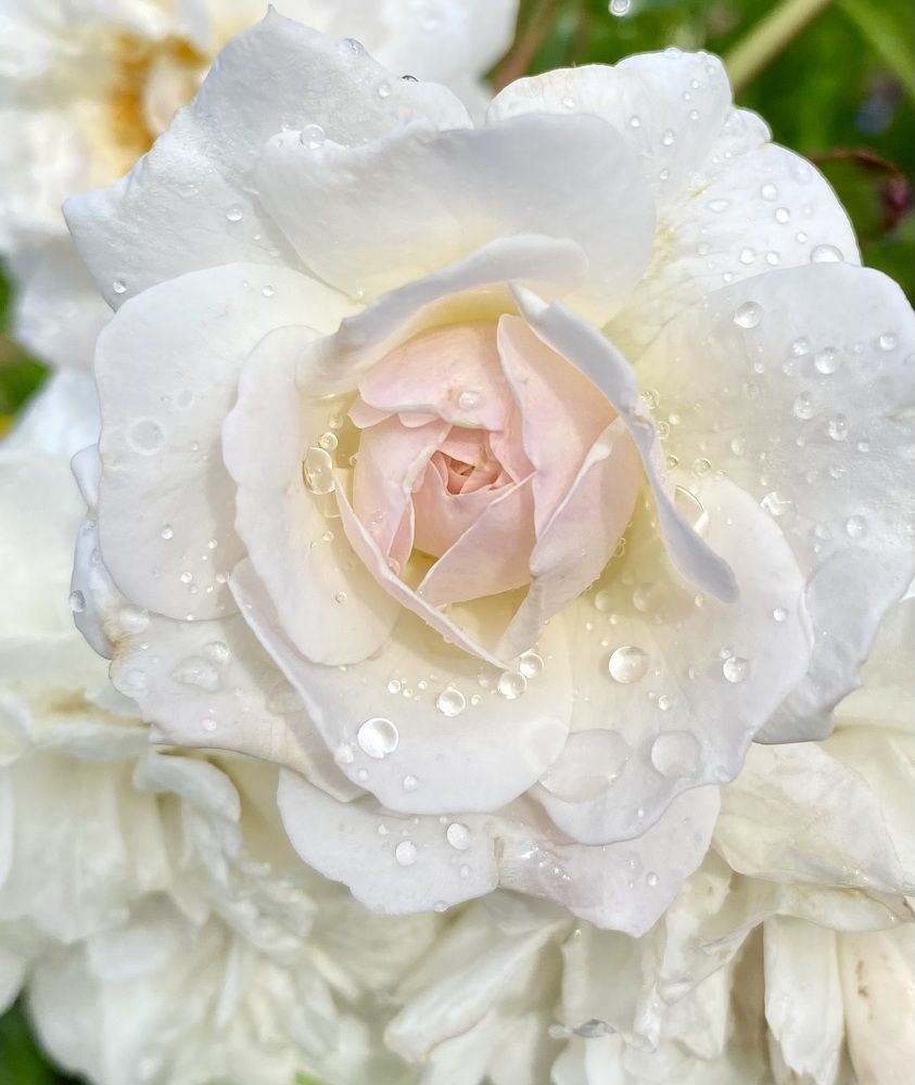 Photograph by Алиса Лукина