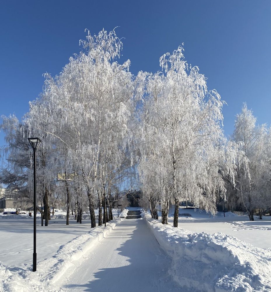 Photograph by Алиса Лукина