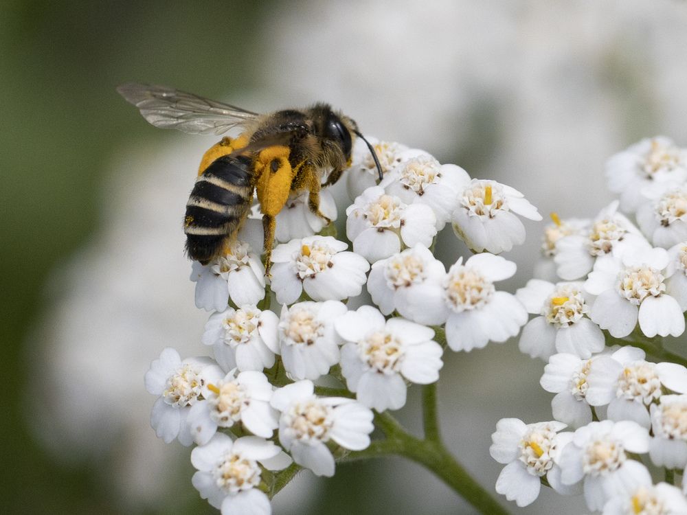 Photograph by Ирина Серегина