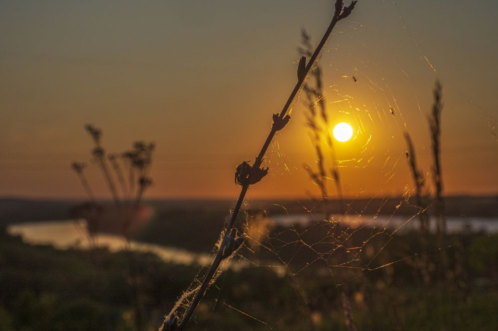 Photograph by 