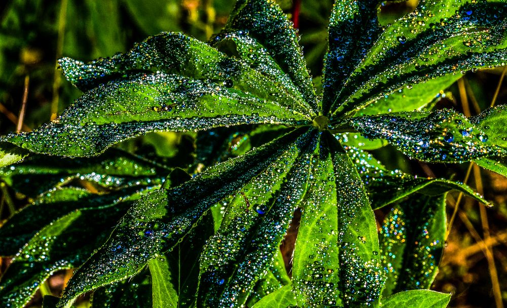 Photograph by Михаил Бояркин