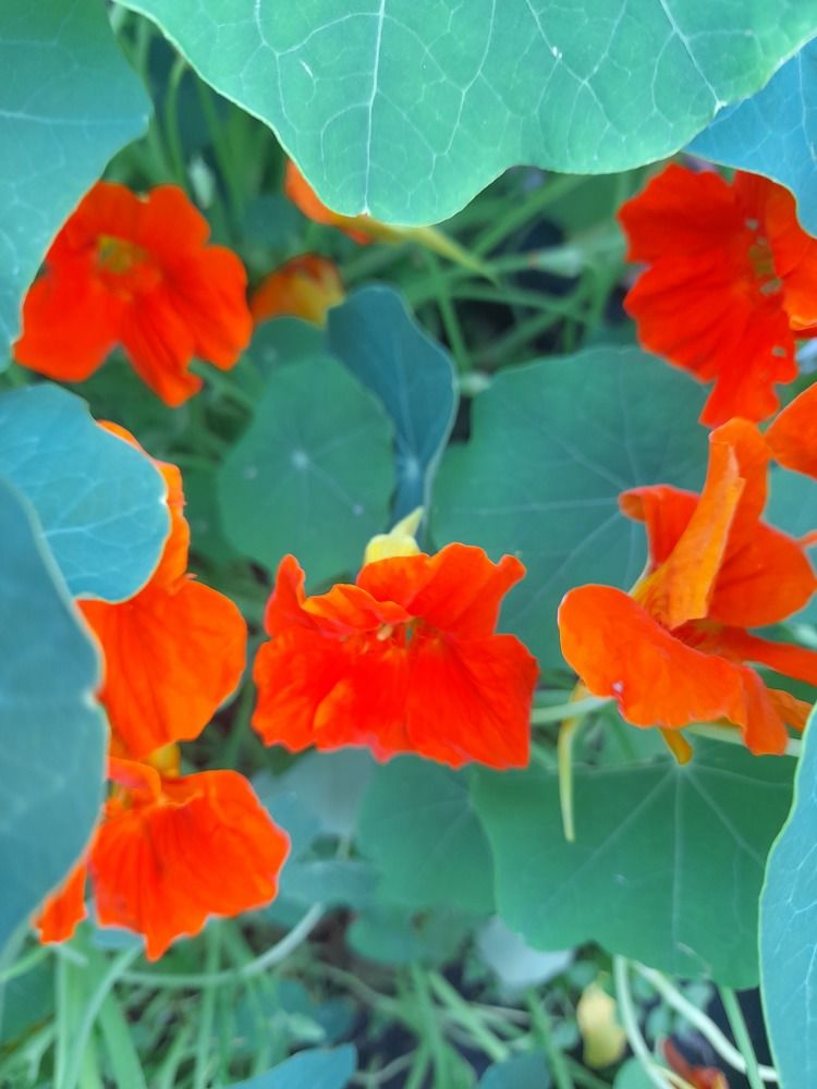 Photograph by Елизавета Алясова