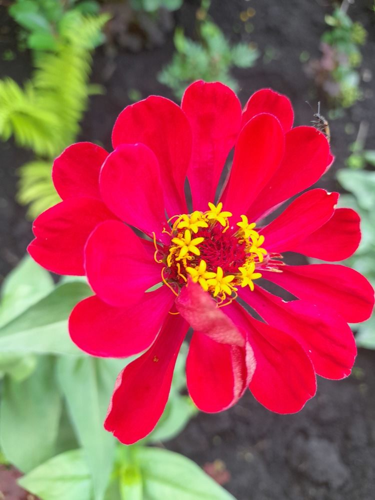 Photograph by Елизавета