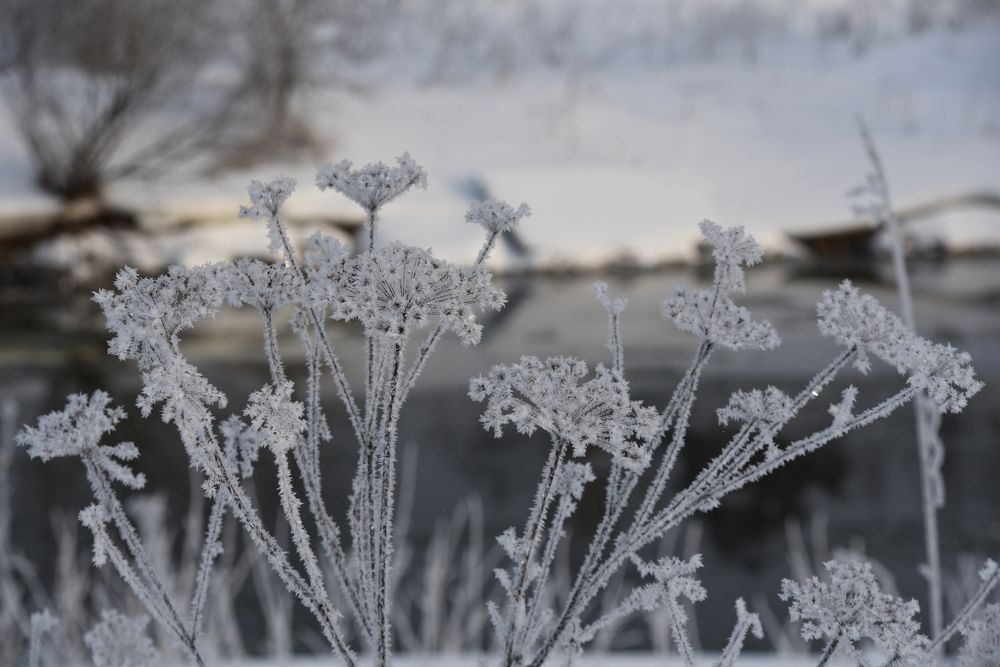 Photograph by Ольга Струкалина