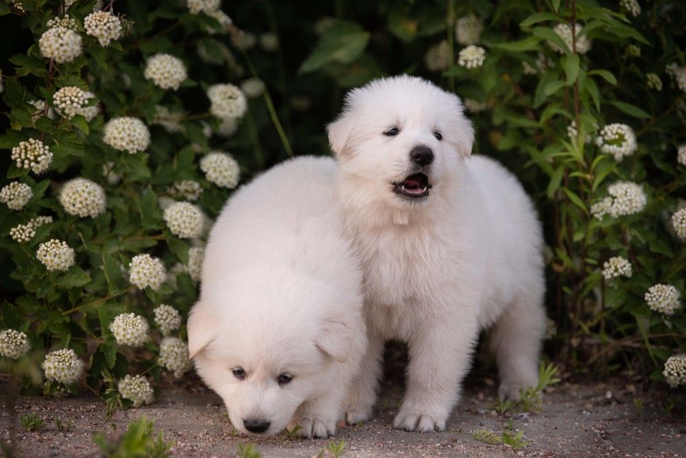 Photograph by Елена Мороз