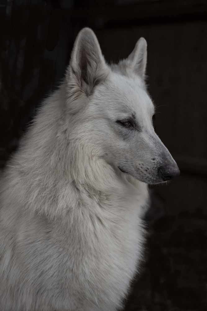 Photograph by Елена Мороз