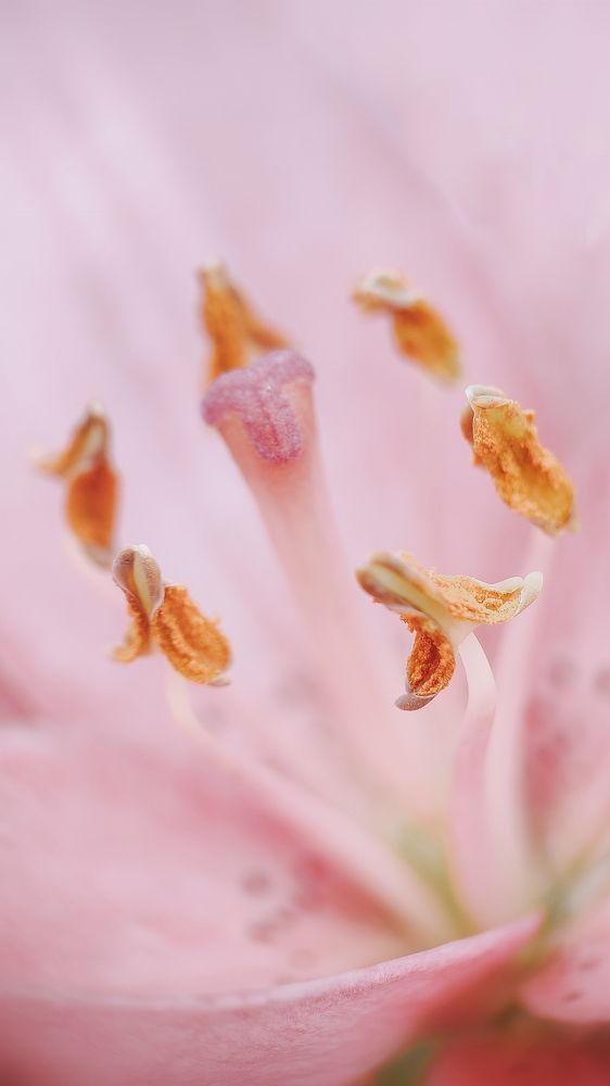 Photograph by Ирина Львова