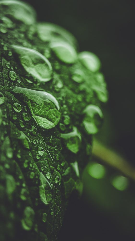 Photograph by Ирина Львова