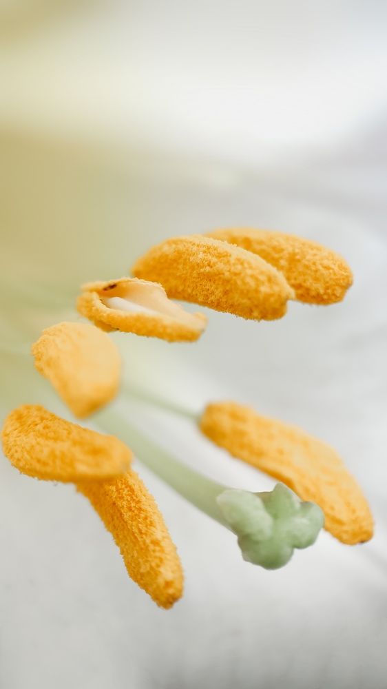 Photograph by Ирина Львова