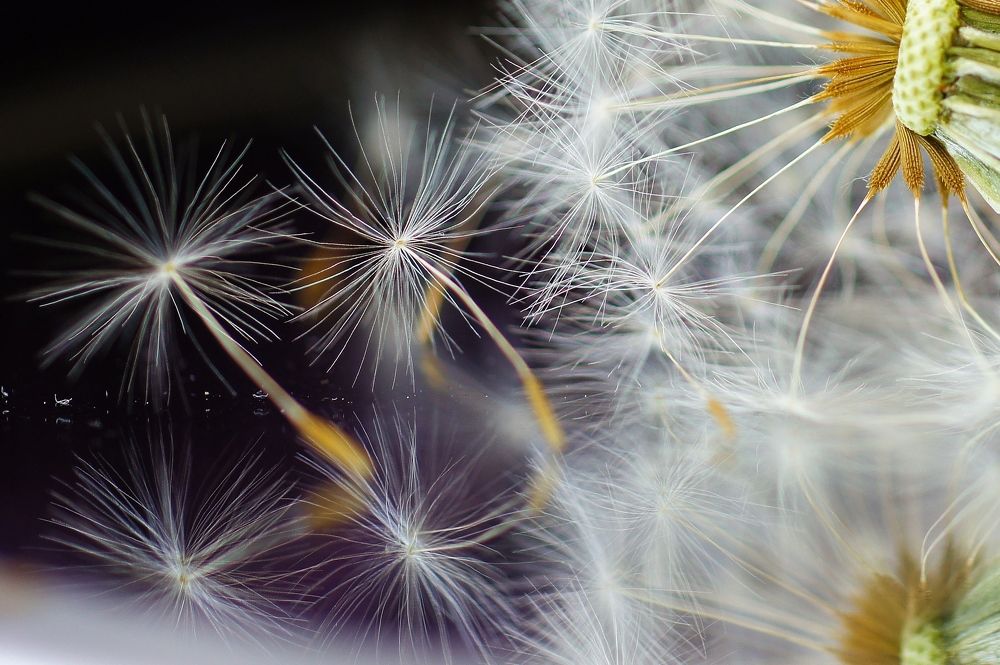 Фотография автора Галина