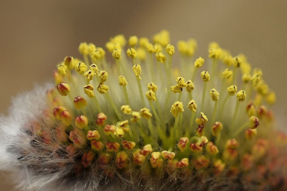 Фотография автора Галина