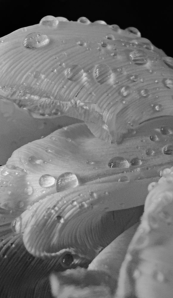 Photograph by Татьяна Гулакова