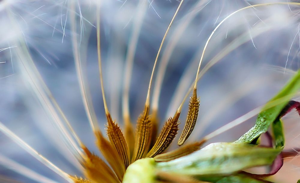 Photograph by Дейнекина Галина