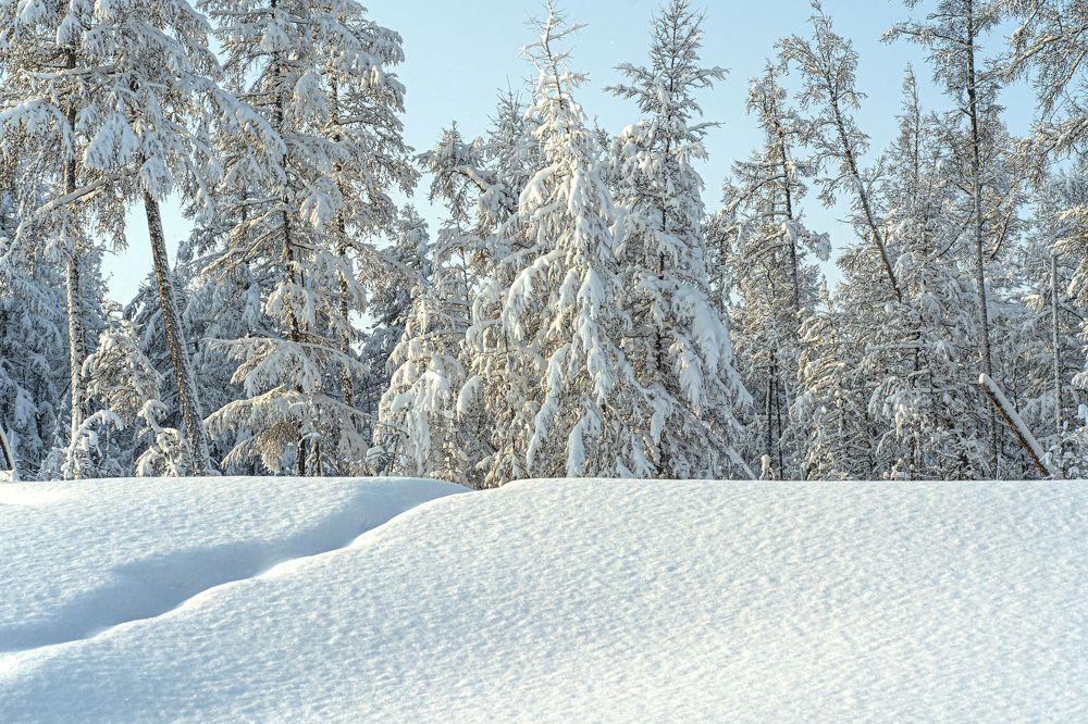 Photograph by Галина Искандарова